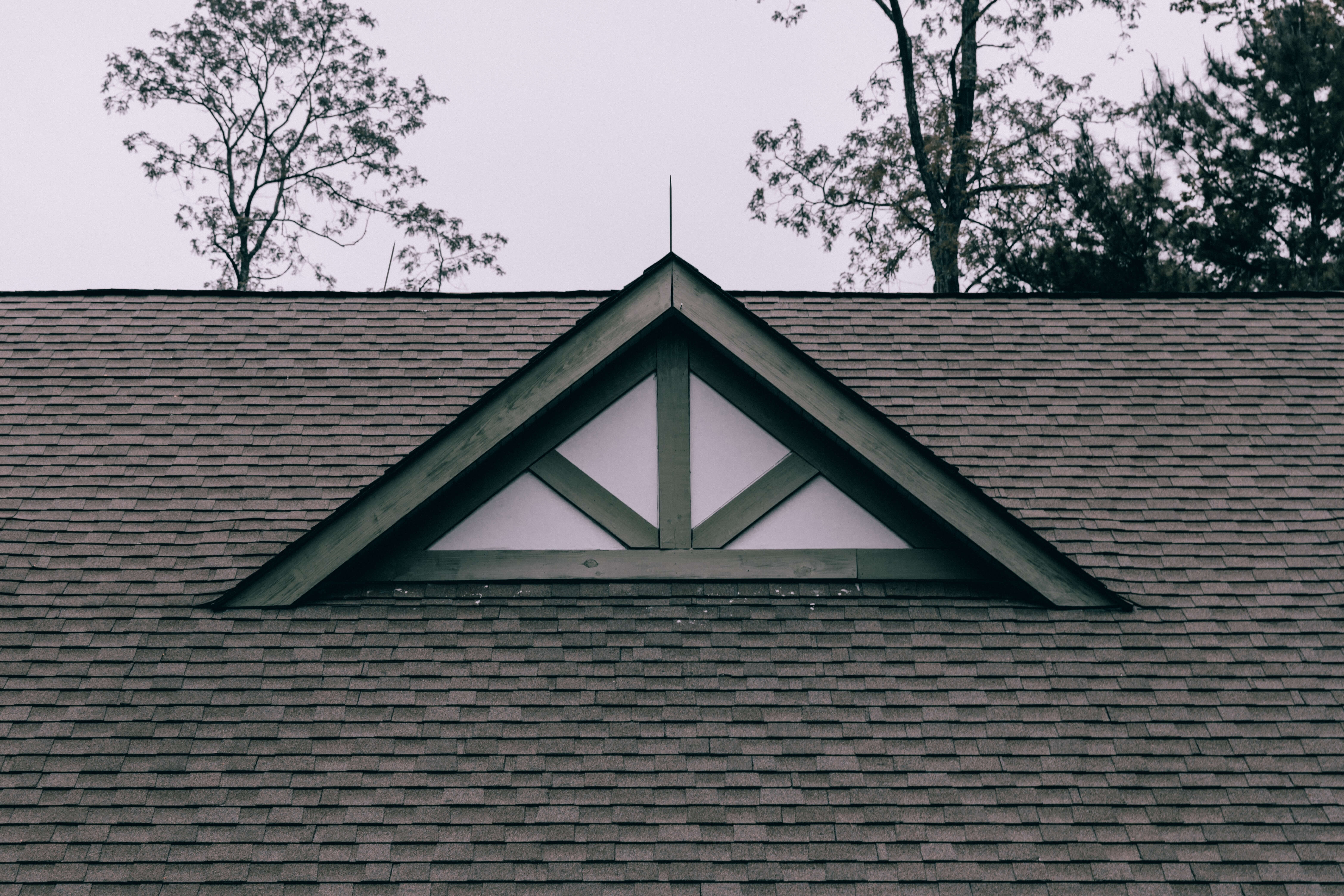 Google pagina - edgar-moran-tnhksnzpxd8-unsplash Google pagina - edgar-moran-tnhksnzpxd8-unsplash